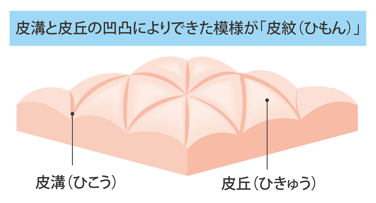 ̐CXg