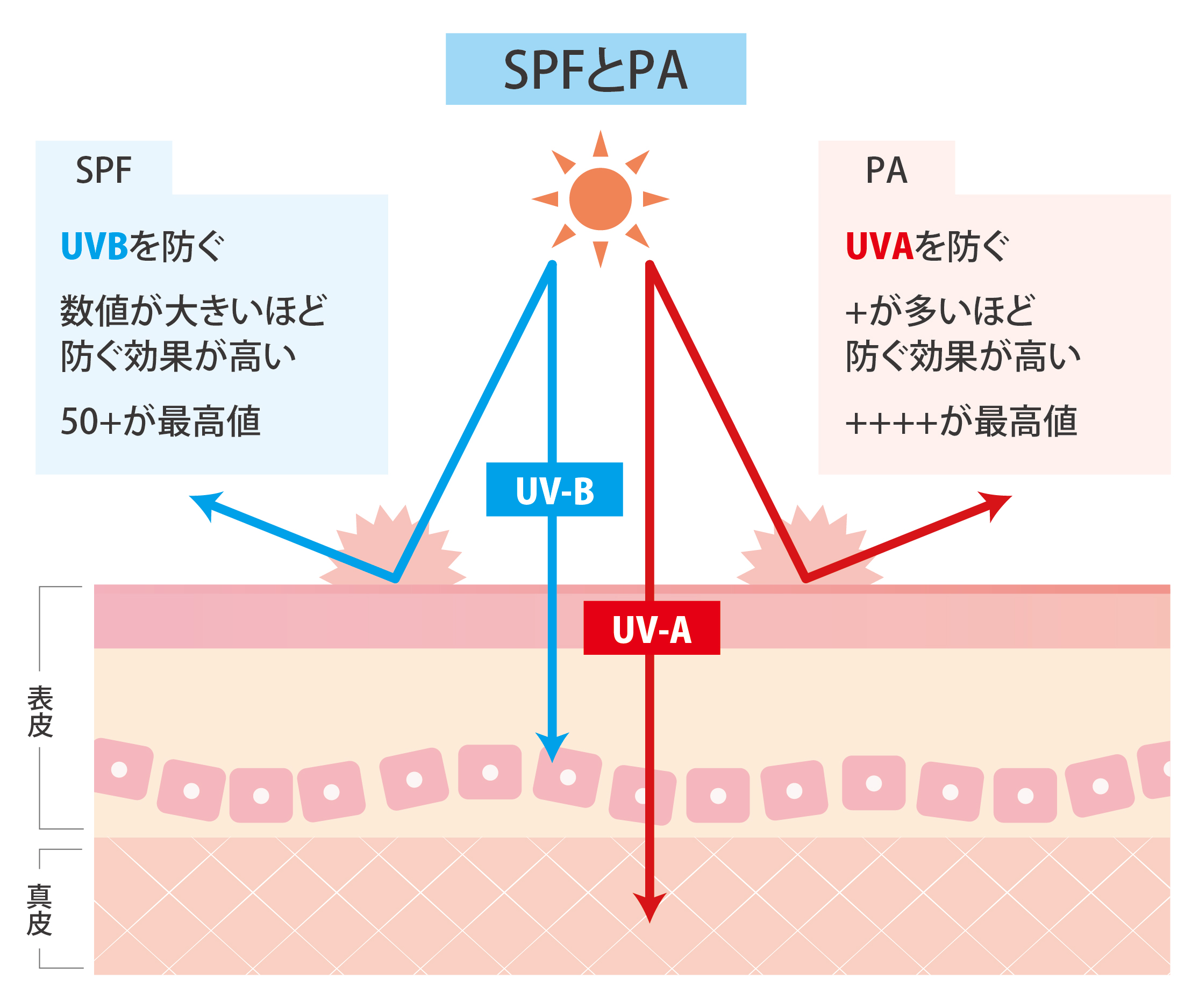 SPFPA̐}CXg