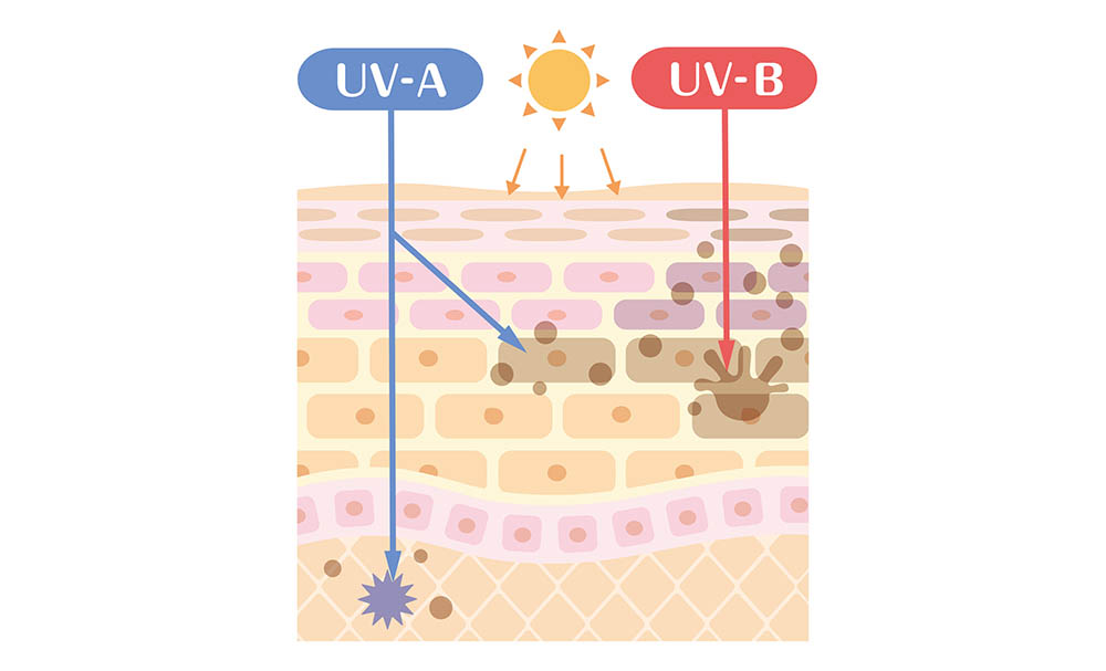 UV-AとUV-Bの紫外線解説