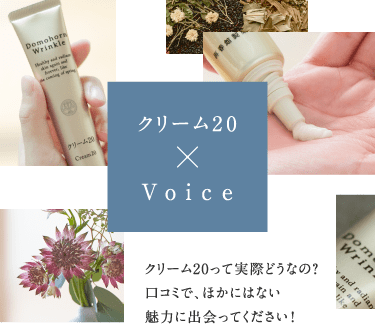 N[20~Voice