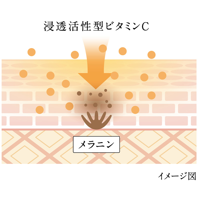 �Z�������^�r�^�~��C�z��