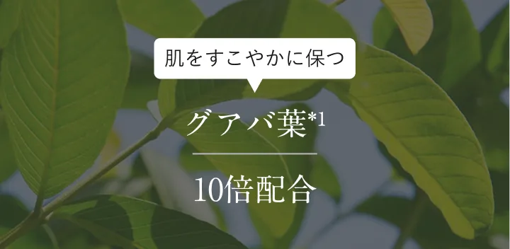���������₩�ɕۂ� �O�A�o�t�G�L�X��1 10�{�z��