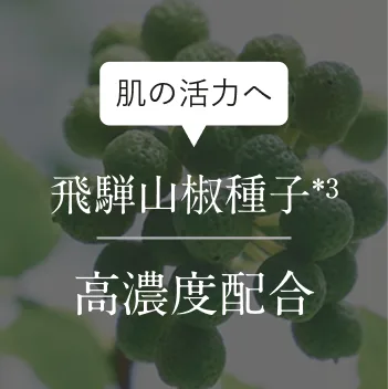 ���̊��͂� ��ˎR����q��3 ���Z�x�z��