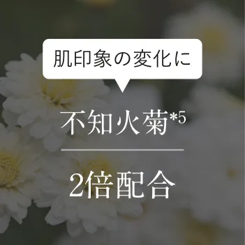 ����ۂ̕ω��� �s�m�΋e��5 2�{�z��
