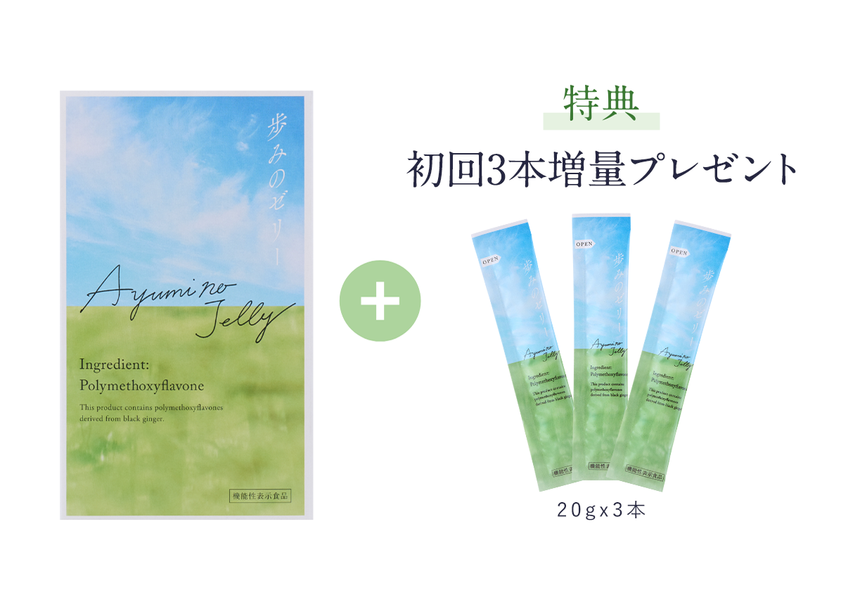 歩みのゼリー 定期便