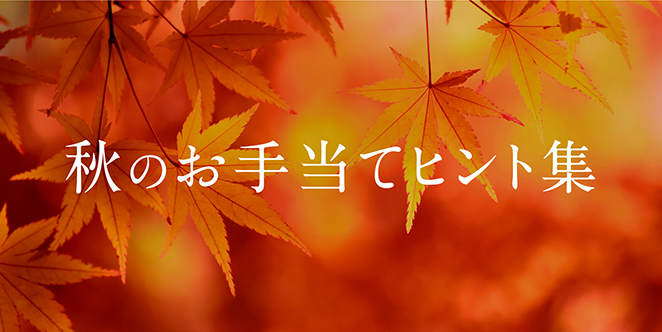Ĥ蓖ăqgW