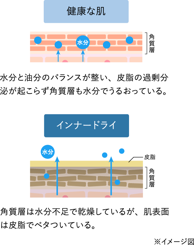 NȔ  pw Ɩ̃oXA玉̉ߏ蕪傪N炸pwł邨ĂB Ci[hC  玉 pw pw͐sŊĂ邪A\ʂ͔玉Ńx^ĂB C[W}