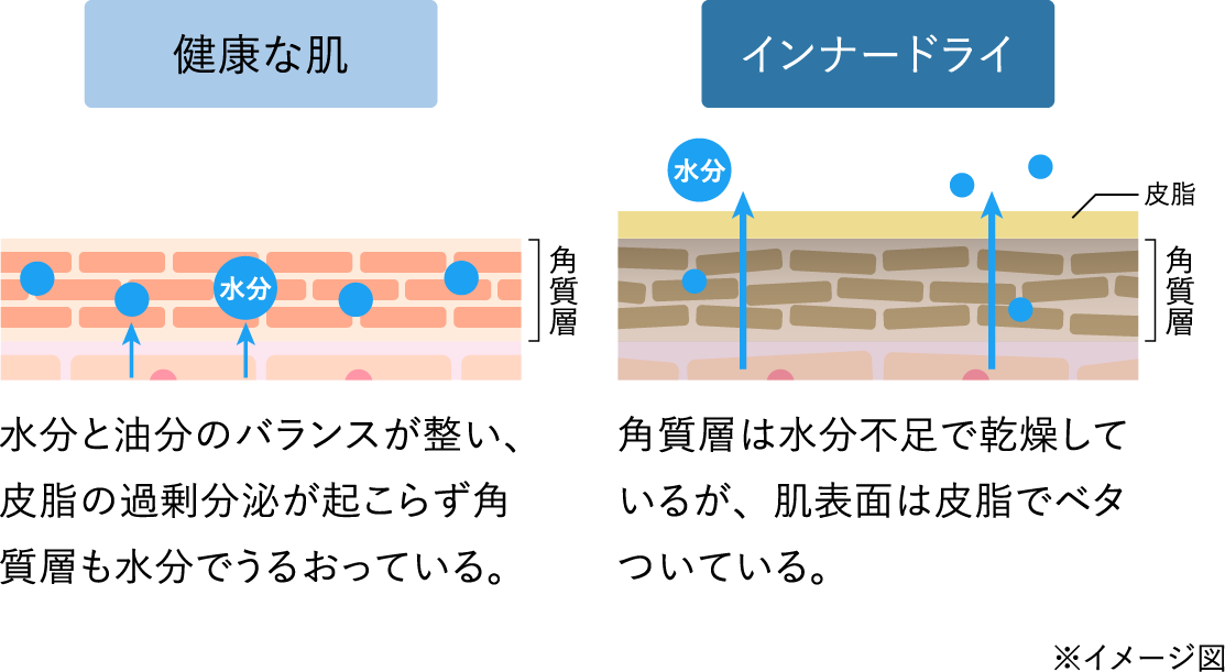 NȔ  pw Ɩ̃oXA玉̉ߏ蕪傪N炸pwł邨ĂB Ci[hC  玉 pw pw͐sŊĂ邪A\ʂ͔玉Ńx^ĂB C[W}