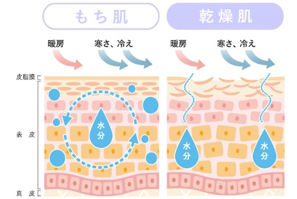 もち肌・乾燥肌