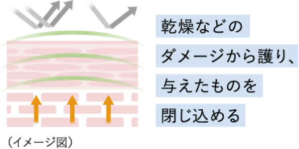 乾燥などのダメージから護り、与えたものを閉じ込める