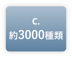 C.3000