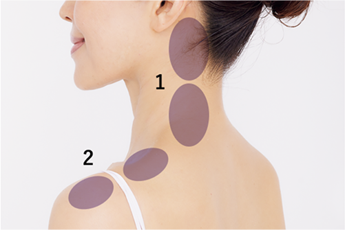 ���舳��������ꏊ