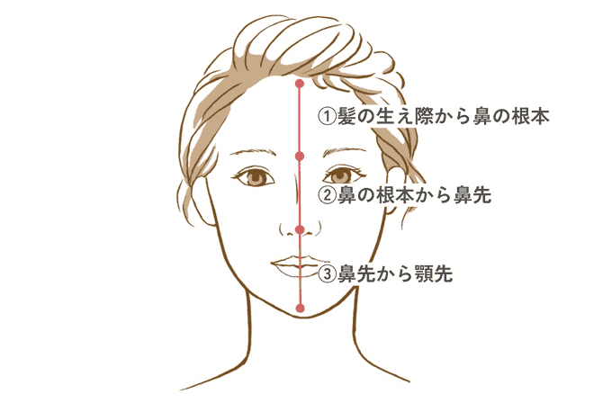 理想のフェイスラインを表したイラスト
