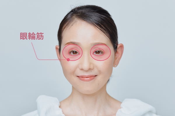 眼輪筋の場所