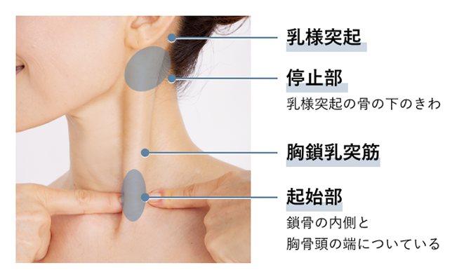 ���l�ˋN�E��~���E�������ˋ؁E�N�n���̏ꏊ��\�����ʐ^