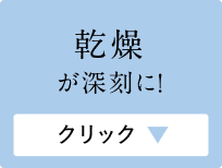 Ẵ_[W֘AC[W