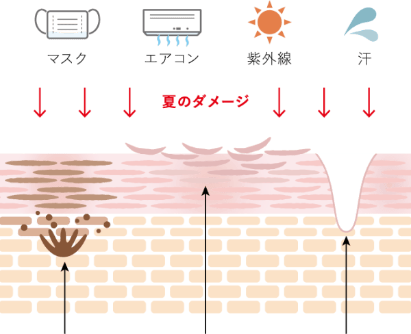 夏のダメージ関連イメージ