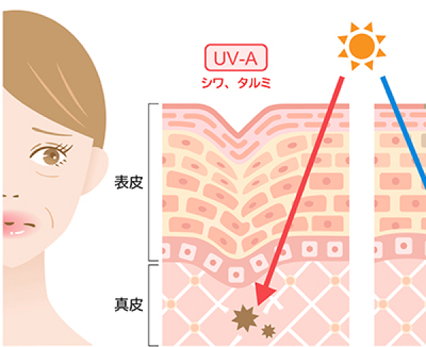 UV-A説明画像