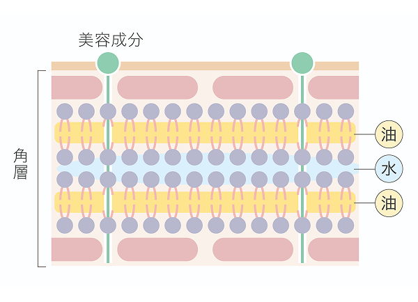 �������ԗU���Z�p�̎ʐ^