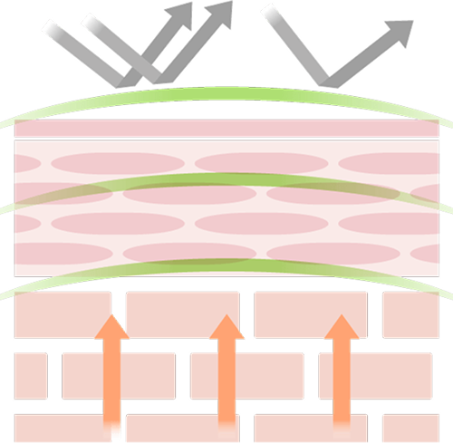 ���v���e�N�g�o���A���@�\����l�q