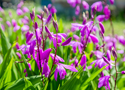 �V������