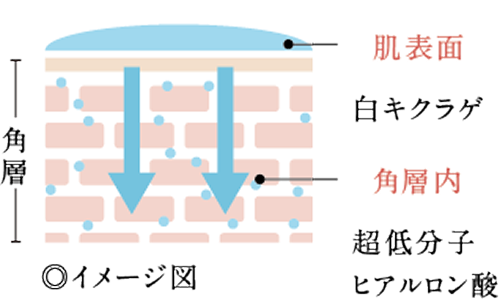 �c�������Z�p�����ɓ���������l�q