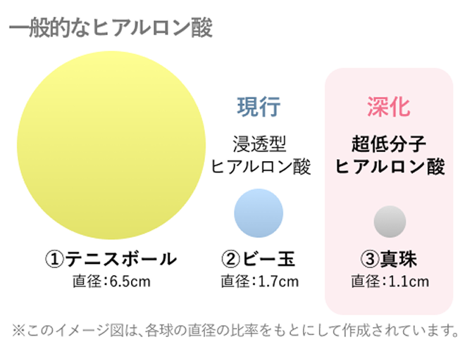 �q�A�������_�̑傫���̔�r