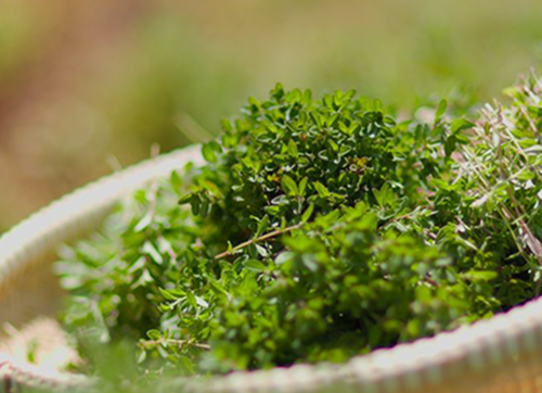 ���C���h�^�C��