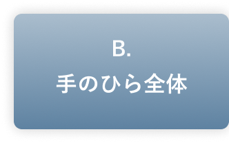 B.��̂Ђ�S��