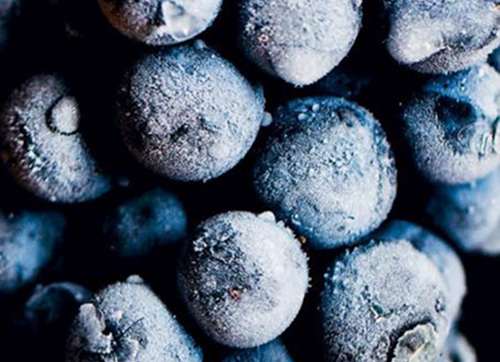 ���������u�h�E�̎�