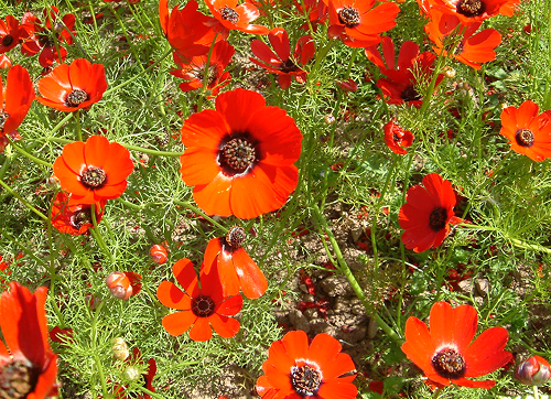 �g������