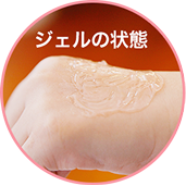 �W�F���̏��