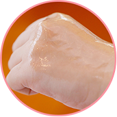 �W�F���̏��