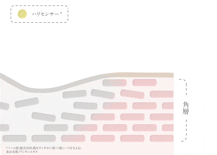 nZT[ɓlq