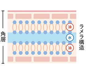 ���������ɐZ�����Ă����A�j���[�V����