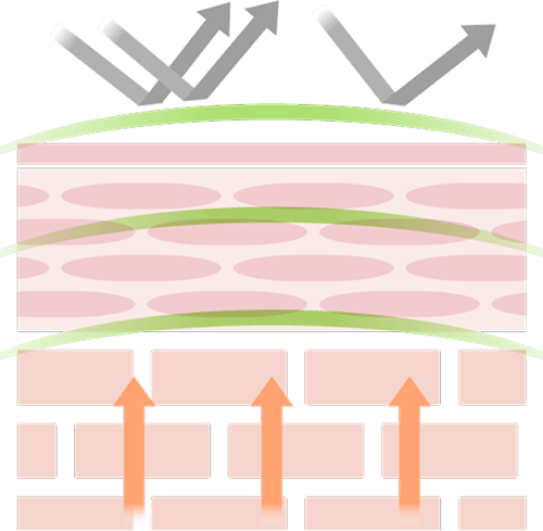 ���v���e�N�g�o���A�̃C���[�W�}