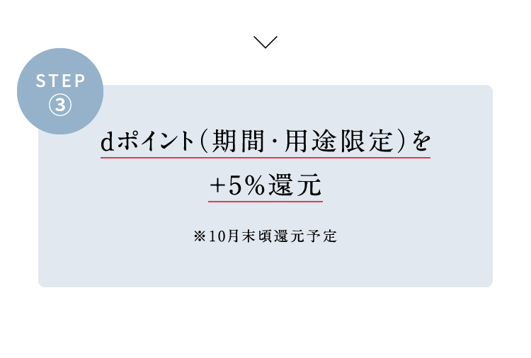 STEP3 d|CgiԁEprj+5p[ZgҌ 10Ҍ\