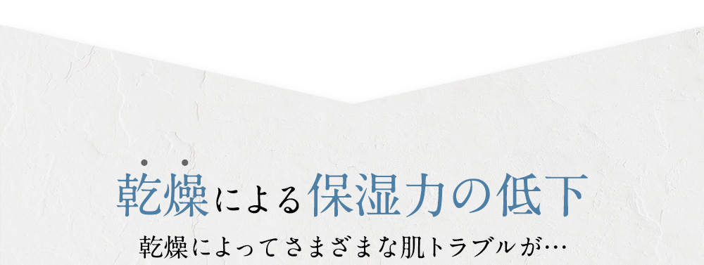 乾燥による保湿力の低下 乾燥によってさまざまな肌トラブルが…