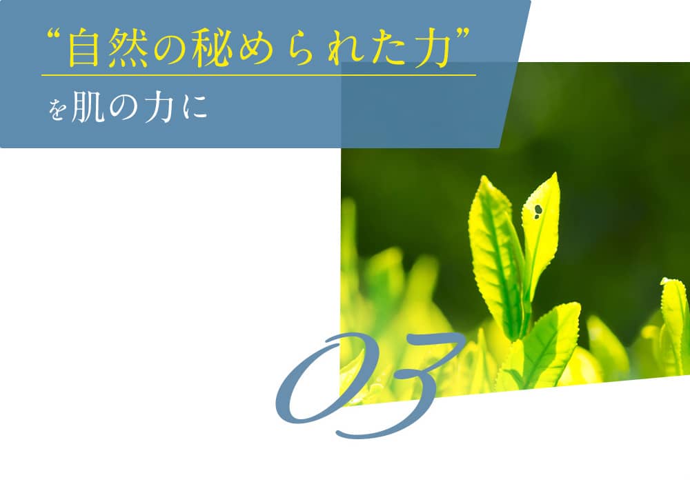 “自然の秘められた力”を肌の力に 03