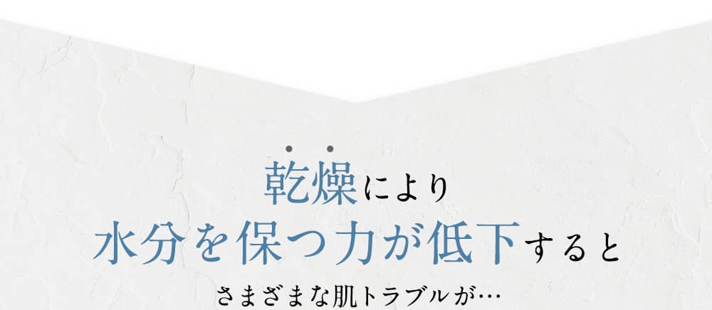 乾燥によるり水分を保つ力が低下すると さまざまな肌トラブルが…