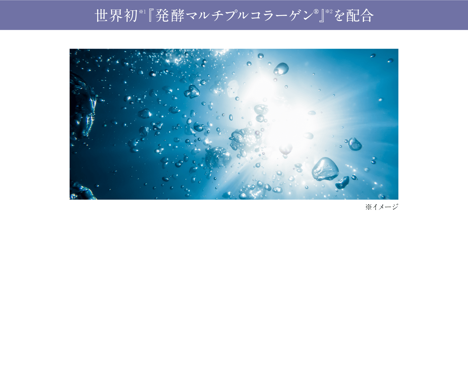 ���E�� �w���y�}���`�v���R���[�Q���x��z��