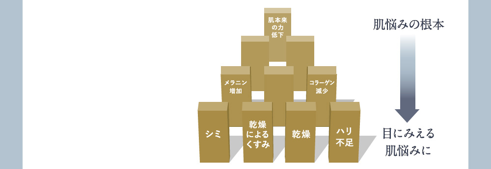 肌悩みの根本 目にみえる肌悩みに