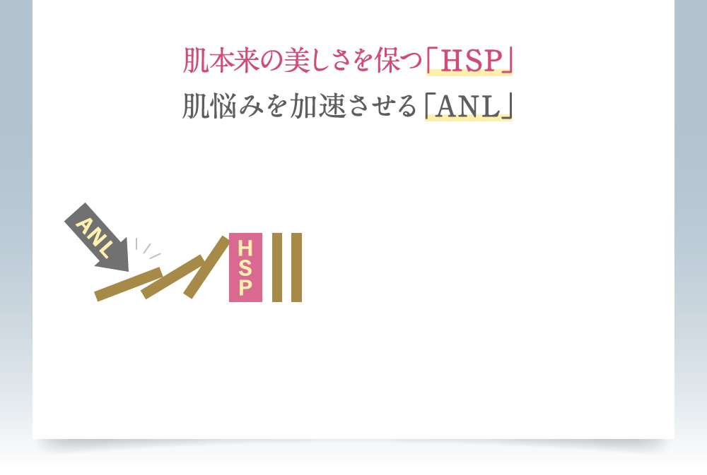 肌本来の若々しさを保つ「HSP」肌悩みを加速させる「ANL」