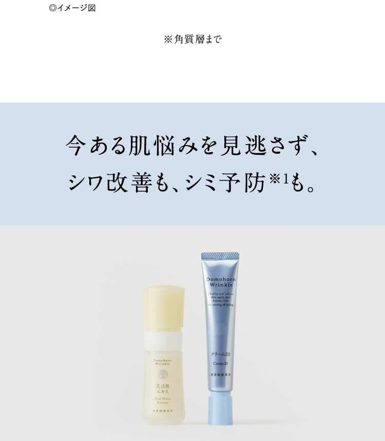 锧Y݂AVPAV~\hB GLX N[20