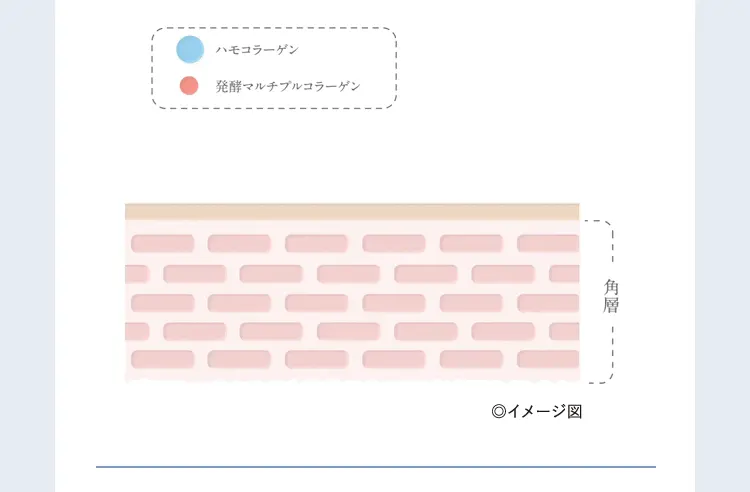 C[W}