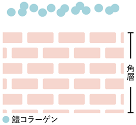 �C���[�W�}