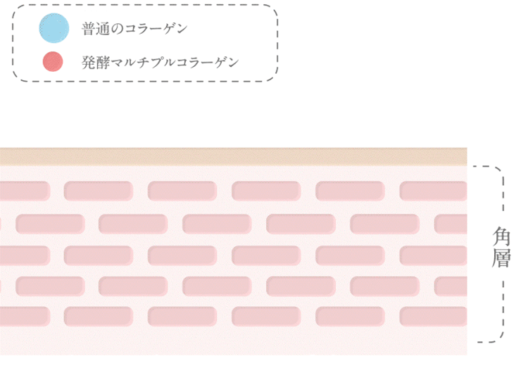 �C���[�W�}