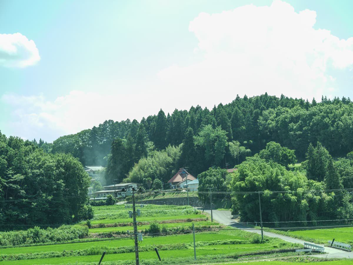 青々とした山と田んぼが広がる田村町金沢地区。この地域にある60町歩（約60万㎡）の田んぼすべてを化学肥料を使わない自然田にすることが、『仁井田本家』の目標のひとつになっている。