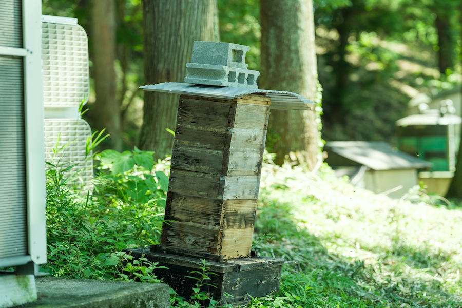 木桶づくりで残った端材でミツバチの巣箱を製作。在来種のニホンミツバチは巣箱に集まるのは難しいと言われているが、自然農の環境が功を奏して、敷地内に仕掛けた10カ所のうち9カ所に集まる結果に。