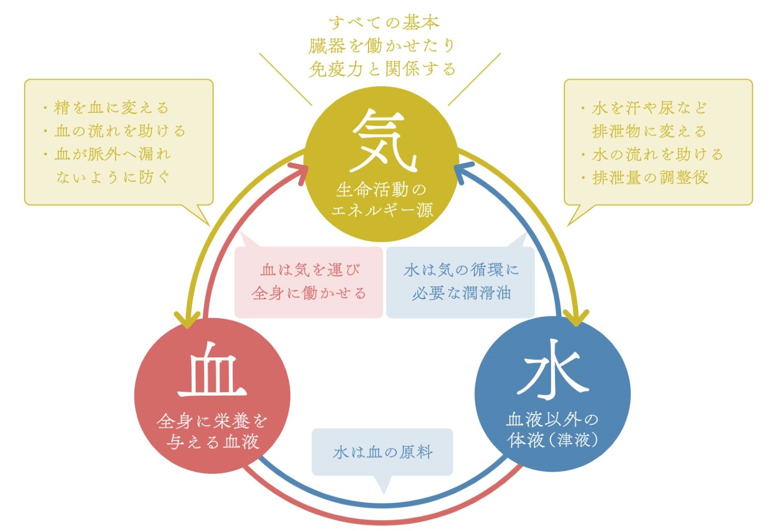 気・血・水イメージ